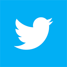 Page twiter